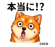 846006648