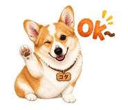 846007011