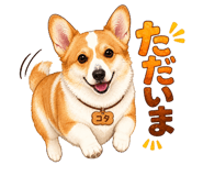 846007016