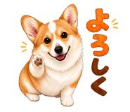 846007017