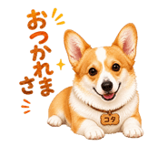 846007020