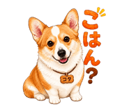 846007025
