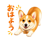 846007027