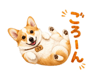 846007028