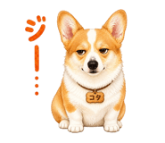 846007030