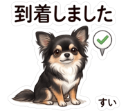 846007243