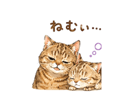 846007612