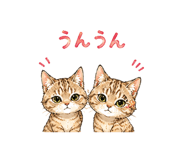 846007613