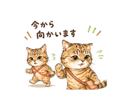 846007619