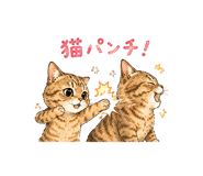 846007621