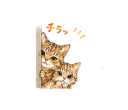 846007622