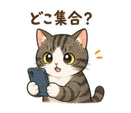 846007668