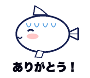 846008243
