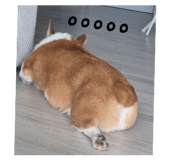 846009031