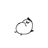 846009484