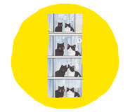 846010053