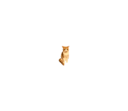 846010202