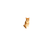 846010203