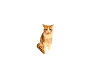 846010204