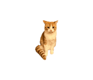 846010205