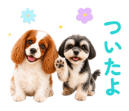 846011108