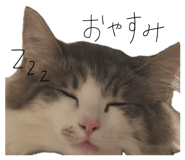 846011222