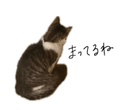 846011238