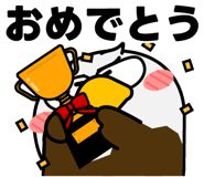 846011554