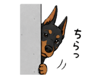 846012068