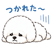 846012393