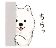 846012605