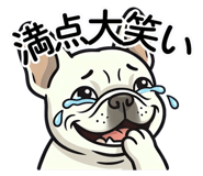 846012726