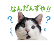 846014289