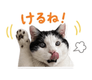 846014295