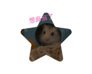 846015925