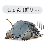 846015994