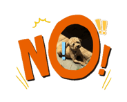 846018931