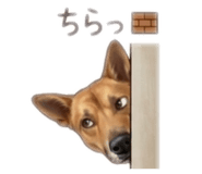 846020249