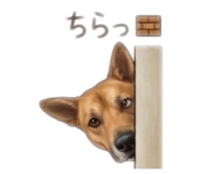846020250