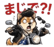 846020488