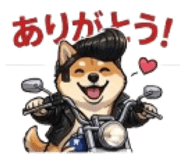 846020490