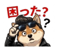 846020497