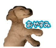 846021001