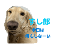 846021002