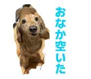 846021007