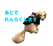 846021008
