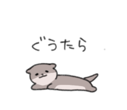 846021243