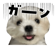846021335