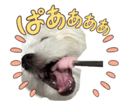 846021338