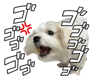 846021341